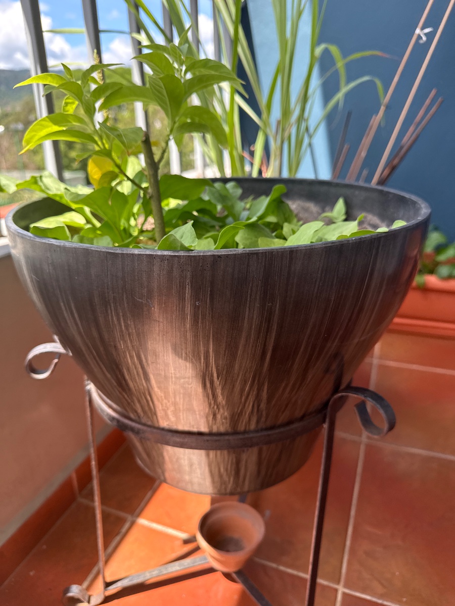 Maceta de 60cm
